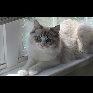 Meet your Posher, Suzanne